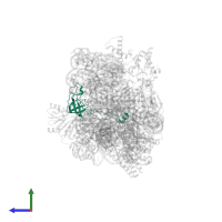 Small ribosomal subunit protein uS12 in PDB entry 7o5h, assembly 1, side view.