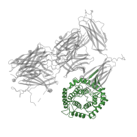 The deposited structure of PDB entry 7o7q contains 4 copies of Pfam domain PF07678 (A-macroglobulin TED domain) in Alpha-2-macroglobulin. Showing 1 copy in chain A.