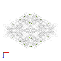 2-acetamido-2-deoxy-beta-D-glucopyranose in PDB entry 7o7q, assembly 1, top view.