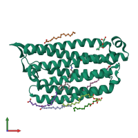 PDB entry 7o8j coloured by chain, front view.