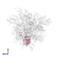 DNA-directed RNA polymerase I subunit RPA34 in PDB entry 7ob9, assembly 1, side view.