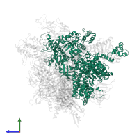 DNA-directed RNA polymerase I subunit RPA1 in PDB entry 7ob9, assembly 1, side view.