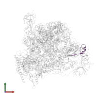 DNA-directed RNA polymerase I subunit RPA12 in PDB entry 7ob9, assembly 1, front view.