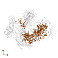 DNA-directed RNA polymerase I subunit RPA2 in PDB entry 7oba, assembly 1, front view.