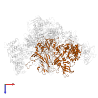 DNA-directed RNA polymerase I subunit RPA2 in PDB entry 7oba, assembly 1, top view.