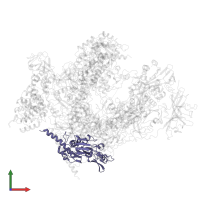 DNA-directed RNA polymerases I and III subunit RPAC1 in PDB entry 7oba, assembly 1, front view.