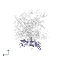 DNA-directed RNA polymerases I and III subunit RPAC1 in PDB entry 7oba, assembly 1, side view.