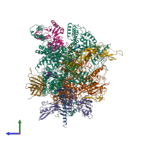 Hetero 15-meric assembly 1 of PDB entry 7obb coloured by chemically distinct molecules, side view.