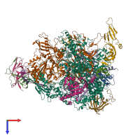 Hetero 15-meric assembly 1 of PDB entry 7obb coloured by chemically distinct molecules, top view.