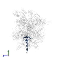 DNA-directed RNA polymerases I and III subunit RPAC2 in PDB entry 7obb, assembly 1, side view.