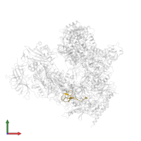 DNA-directed RNA polymerases I, II, and III subunit RPABC4 in PDB entry 7obb, assembly 1, front view.