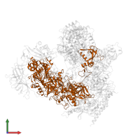 DNA-directed RNA polymerase I subunit RPA2 in PDB entry 7obb, assembly 1, front view.