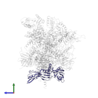 DNA-directed RNA polymerases I and III subunit RPAC1 in PDB entry 7obb, assembly 1, side view.