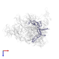 DNA-directed RNA polymerases I and III subunit RPAC1 in PDB entry 7obb, assembly 1, top view.