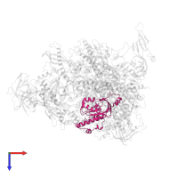 DNA-directed RNA polymerases I, II, and III subunit RPABC1 in PDB entry 7obb, assembly 1, top view.