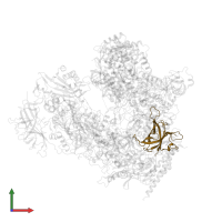 DNA-directed RNA polymerases I, II, and III subunit RPABC3 in PDB entry 7obb, assembly 1, front view.