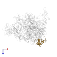 DNA-directed RNA polymerases I, II, and III subunit RPABC3 in PDB entry 7obb, assembly 1, top view.