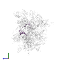 DNA-directed RNA polymerase I subunit RPA12 in PDB entry 7obb, assembly 1, side view.