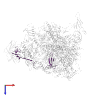 DNA-directed RNA polymerase I subunit RPA12 in PDB entry 7obb, assembly 1, top view.