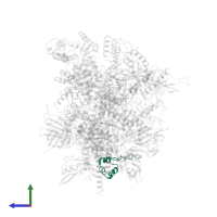 DNA-directed RNA polymerases I, II, and III subunit RPABC5 in PDB entry 7obb, assembly 1, side view.