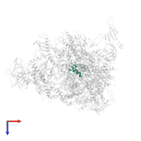 DNA-directed RNA polymerases I, II, and III subunit RPABC5 in PDB entry 7obb, assembly 1, top view.