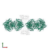 S-adenosylmethionine synthase in PDB entry 7ock, assembly 1, front view.