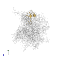 Large ribosomal subunit protein uL3m in PDB entry 7odr, assembly 1, side view.