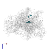 Large ribosomal subunit protein mL51 in PDB entry 7odr, assembly 1, top view.