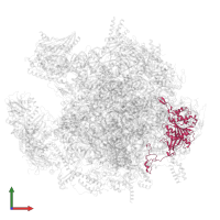 Large ribosomal subunit protein mL37 in PDB entry 7ods, assembly 1, front view.