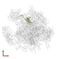 Large ribosomal subunit protein uL13m in PDB entry 7ods, assembly 1, front view.