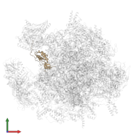 Large ribosomal subunit protein uL16m in PDB entry 7ods, assembly 1, front view.