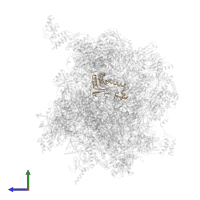 Large ribosomal subunit protein uL16m in PDB entry 7ods, assembly 1, side view.