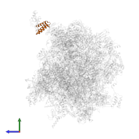 Mitochondrial ribosome and complex I assembly factor AltMIEF1 in PDB entry 7ods, assembly 1, side view.