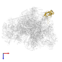 Large ribosomal subunit protein mL45 in PDB entry 7ods, assembly 1, top view.