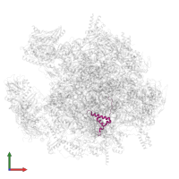 Large ribosomal subunit protein mL51 in PDB entry 7ods, assembly 1, front view.