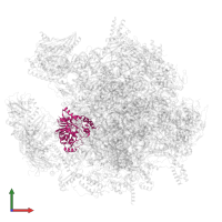 5-methylcytosine rRNA methyltransferase NSUN4 in PDB entry 7ods, assembly 1, front view.