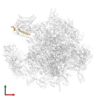 Large ribosomal subunit protein mL54 in PDB entry 7ods, assembly 1, front view.