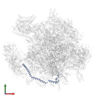 Large ribosomal subunit protein mL64 in PDB entry 7ods, assembly 1, front view.