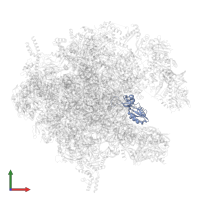 Large ribosomal subunit protein uL16m in PDB entry 7of2, assembly 1, front view.