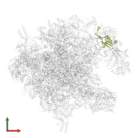 Large ribosomal subunit protein uL18m in PDB entry 7of2, assembly 1, front view.