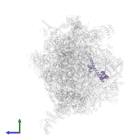 Large ribosomal subunit protein bL20m in PDB entry 7of2, assembly 1, side view.