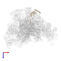 Large ribosomal subunit protein bL21m in PDB entry 7of2, assembly 1, top view.