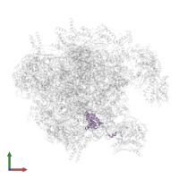 Large ribosomal subunit protein uL13m in PDB entry 7of3, assembly 1, front view.