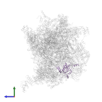 Large ribosomal subunit protein uL13m in PDB entry 7of3, assembly 1, side view.