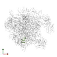 Large ribosomal subunit protein uL14m in PDB entry 7of3, assembly 1, front view.