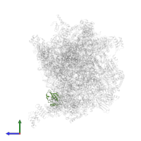 Large ribosomal subunit protein uL14m in PDB entry 7of3, assembly 1, side view.