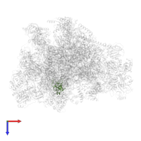 Large ribosomal subunit protein uL14m in PDB entry 7of3, assembly 1, top view.