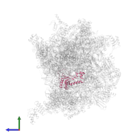 Large ribosomal subunit protein uL16m in PDB entry 7of3, assembly 1, side view.