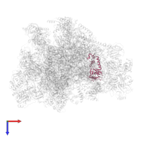 Large ribosomal subunit protein uL16m in PDB entry 7of3, assembly 1, top view.