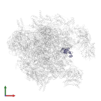 Large ribosomal subunit protein uL30m in PDB entry 7of3, assembly 1, front view.